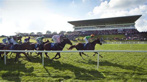 limerick racing results today|Limerick Racecourse .